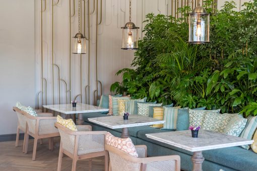 İzmir Cafe Peyzaj Bahçe