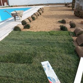 Çeşme Hazır Rulo Çİm Uygulama