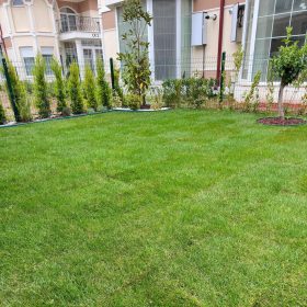 izmir peyzaj ege peyzaj rulo çim fiyatları