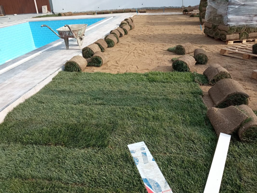 Kuşadası Peyzaj Firması Hazır Rulo Çİm